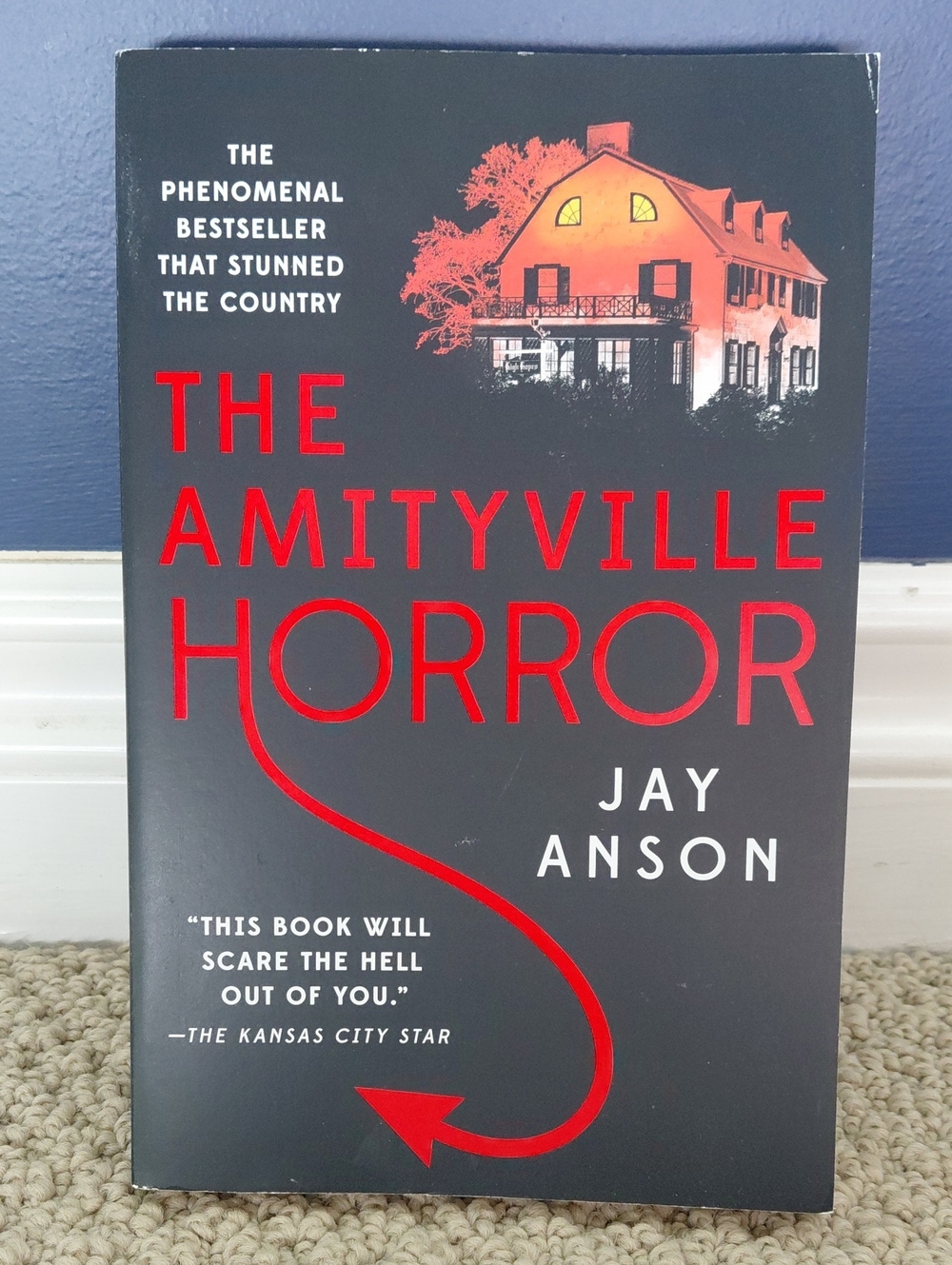 🌼5 For $25🌼 The Amityville Horror By Jay Anson